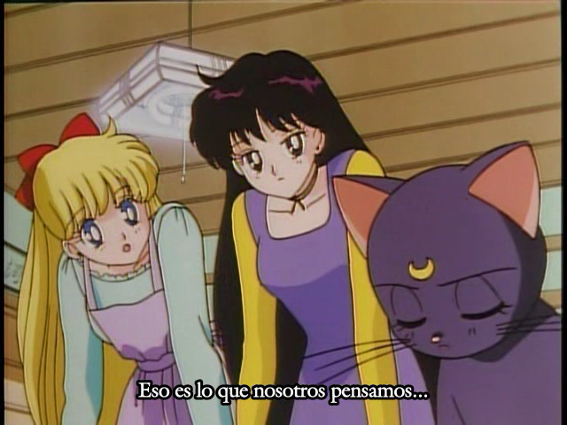 Bishoujo Senshi Sailor Moon R (Quality Age Fansub)